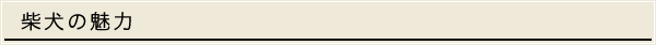 柴犬の魅力｜銀星荘/柴犬